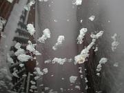 DSCN1097