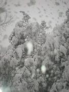 DSCN1099