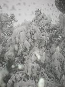 DSCN1100
