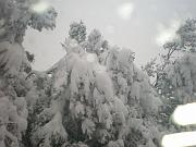 DSCN1102