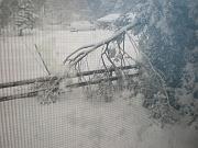 DSCN1103