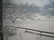DSCN1104