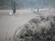 DSCN1105