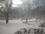 DSCN1107