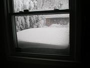 DSCN1110