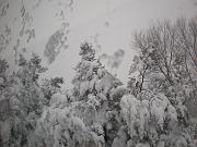 DSCN1111
