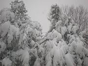 DSCN1113
