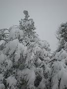 DSCN1114