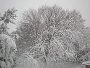 DSCN1115