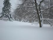 DSCN1121