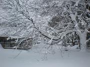 DSCN1123