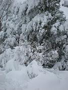 DSCN1125