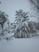 DSCN1126