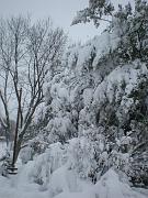 DSCN1127