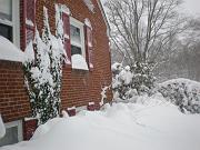 DSCN1129