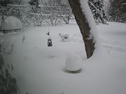 DSCN1132