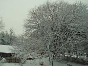 PICT0479