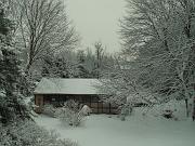 PICT0481