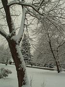 PICT0487