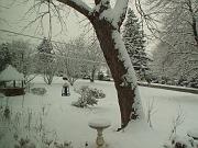 PICT0488