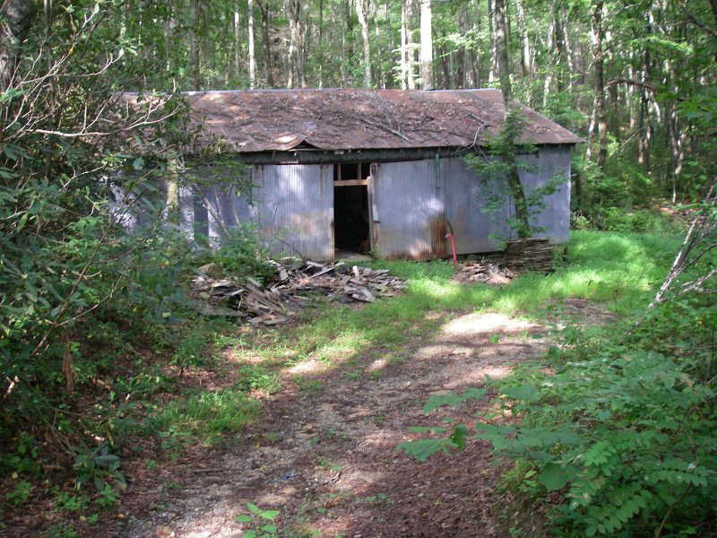 Original image