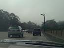 PDRM0177