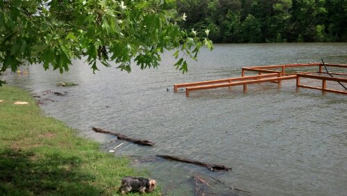 Douglas Lake is flooding